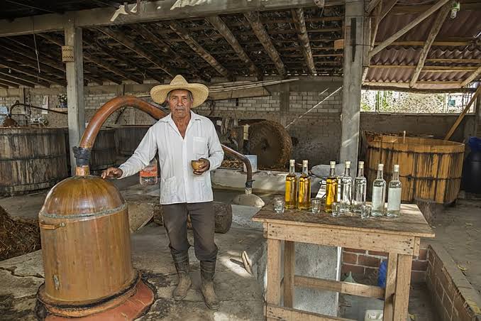 A mezcalería in the city centre
